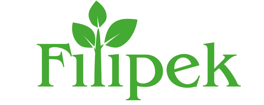 Suszone owoce Filipek